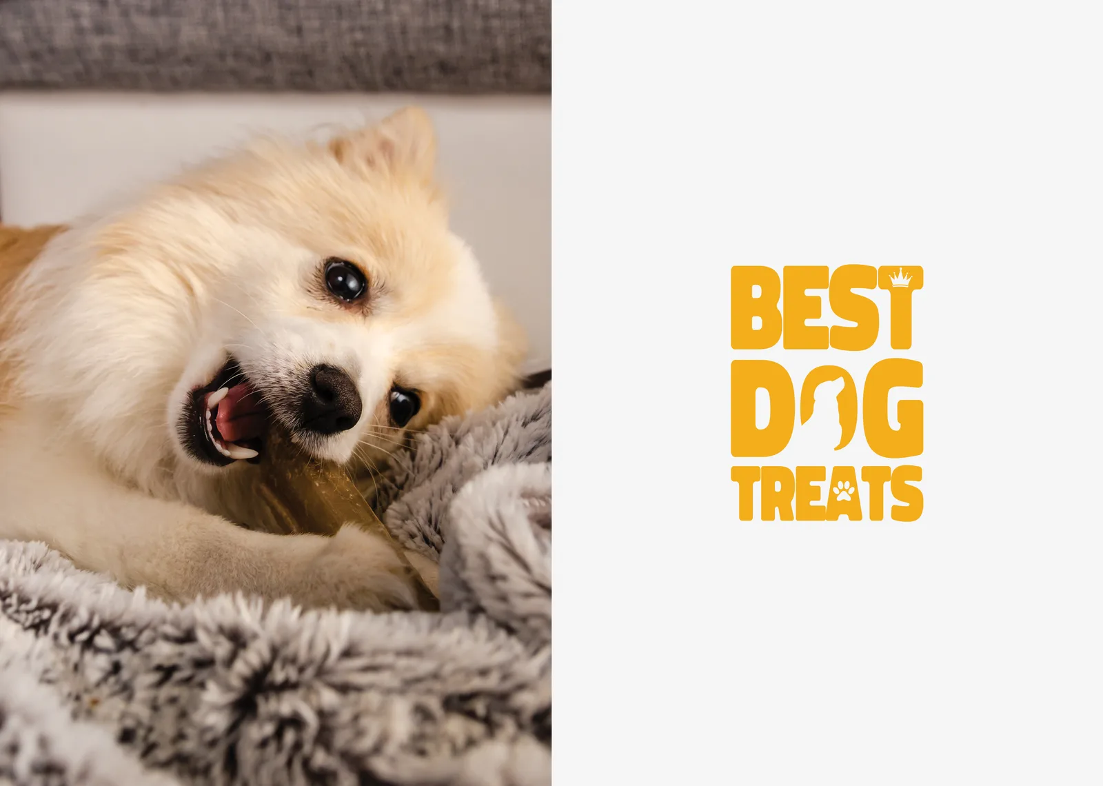 BEST DOG TREATS LOGO & AMBALAJ TASARIMI
