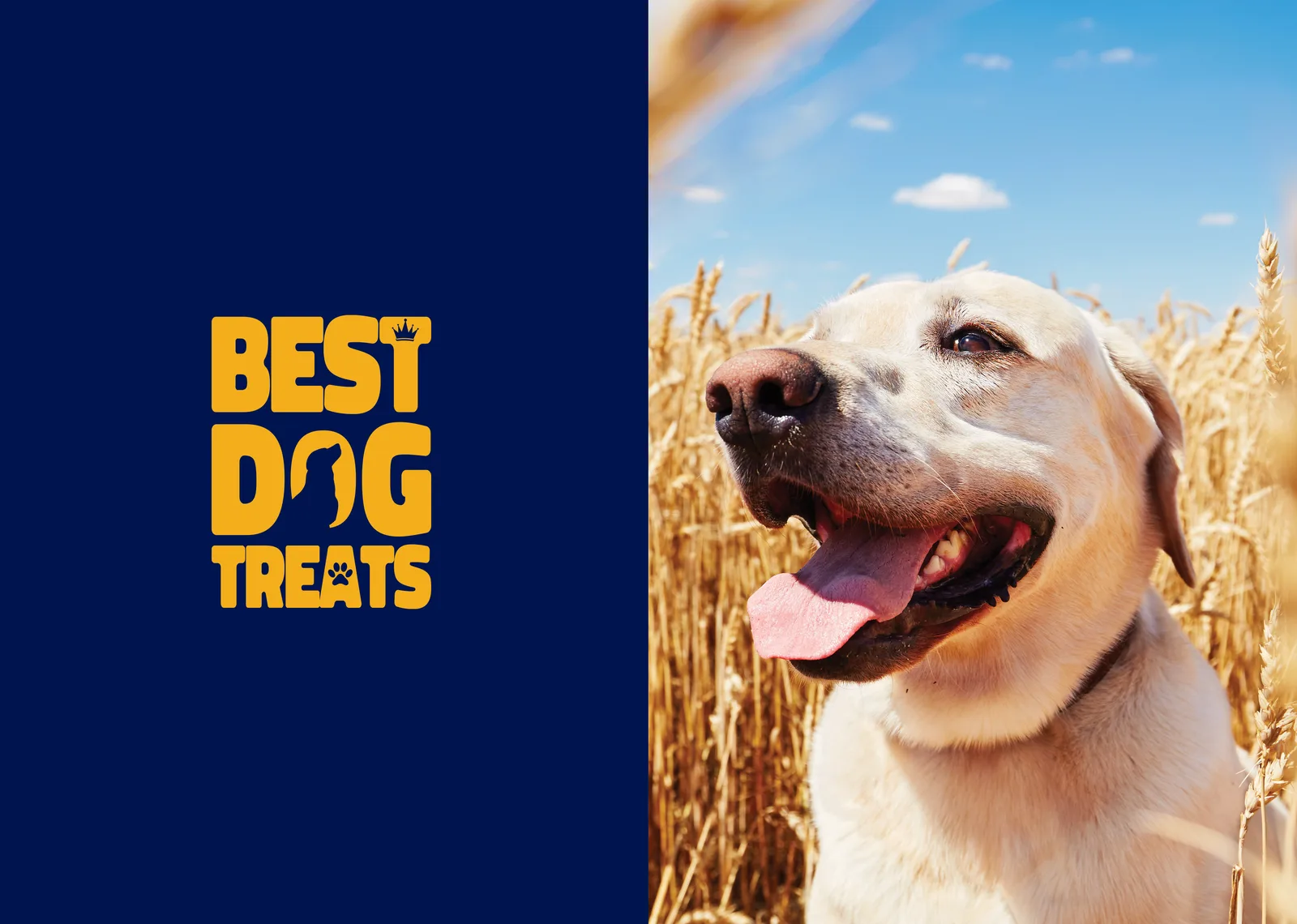 BEST DOG TREATS LOGO & AMBALAJ TASARIMI