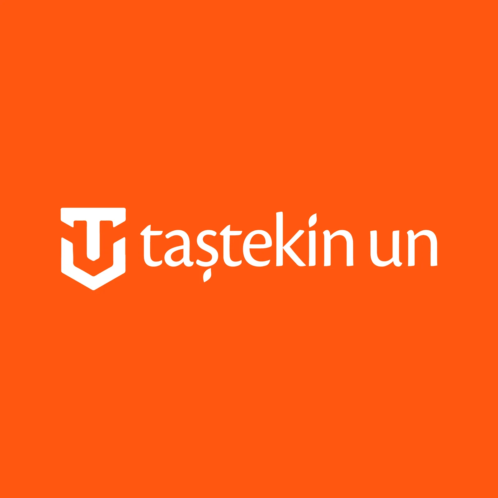 TAŞTEKİN UN LOGO TASARIMI