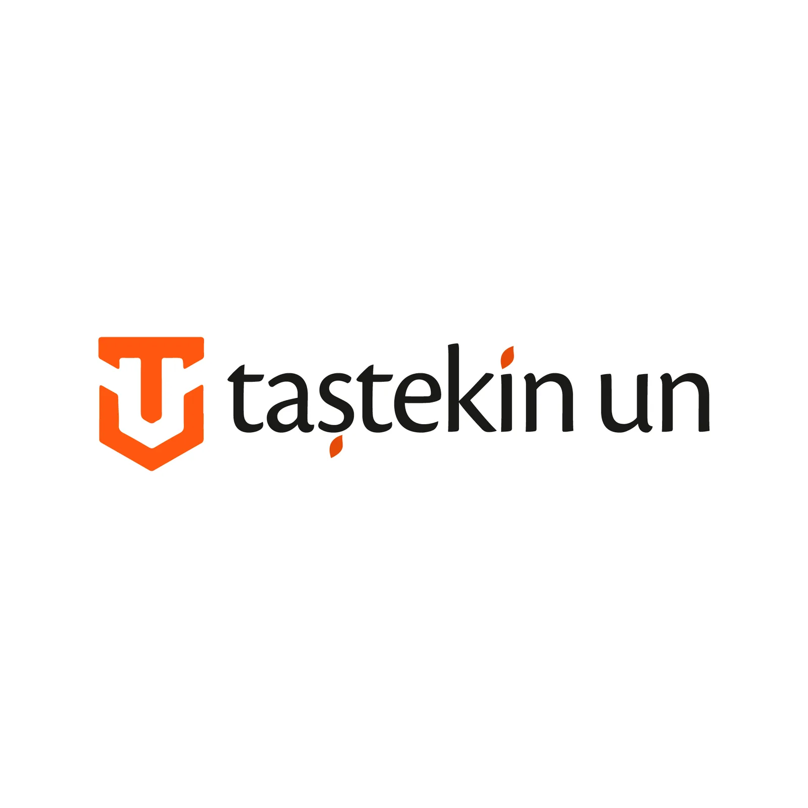 TAŞTEKİN UN LOGO TASARIMI